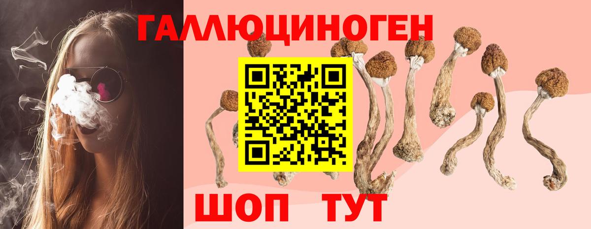 Псилоцибиновые грибы прущие грибы  Псилоцибиновые грибы GOLDEN TEACHER  Вход с VPN  Шелехов 